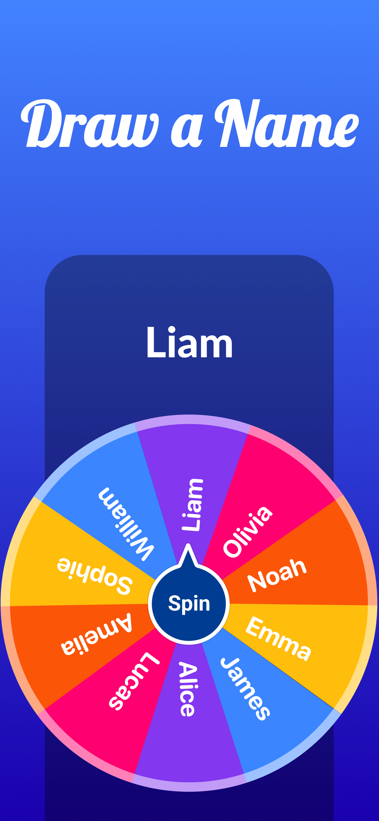 Wheel Spinner Name Drawing App screenshot 2