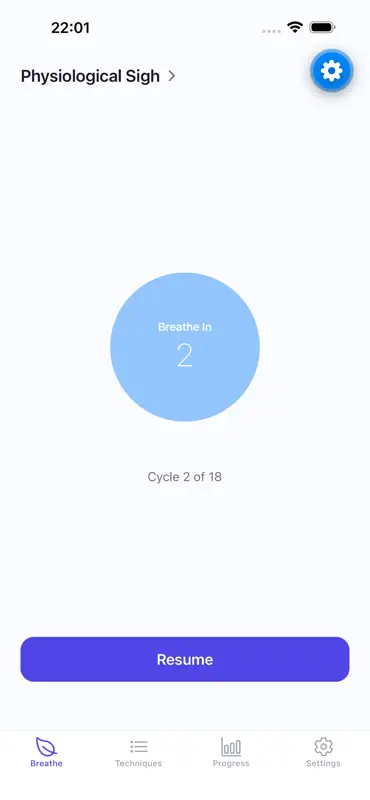 BreathFlow: Breathing Exercise screenshot 6 of 10