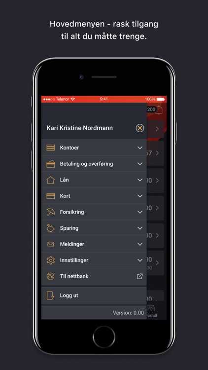 DinBank Mobilbank screenshot-3