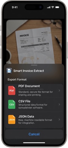 Smart Invoice Extract Screenshot 4 of 5