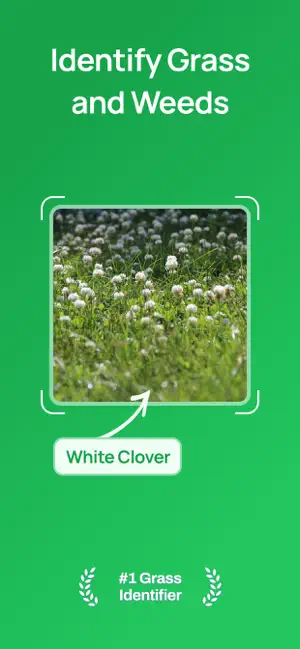 Grass Identifier: Lawn ID screenshot 1