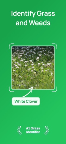 Grass Identifier: Lawn ID Screenshot 1 of 5