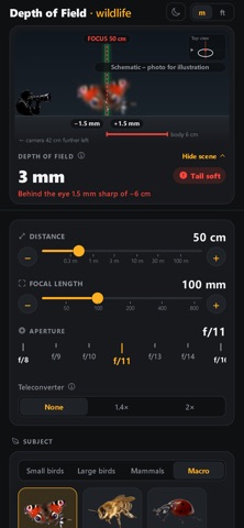 Wildlife Depth of Field screenshot 8