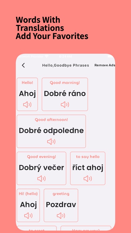 Learn Czech For Beginners screenshot-3