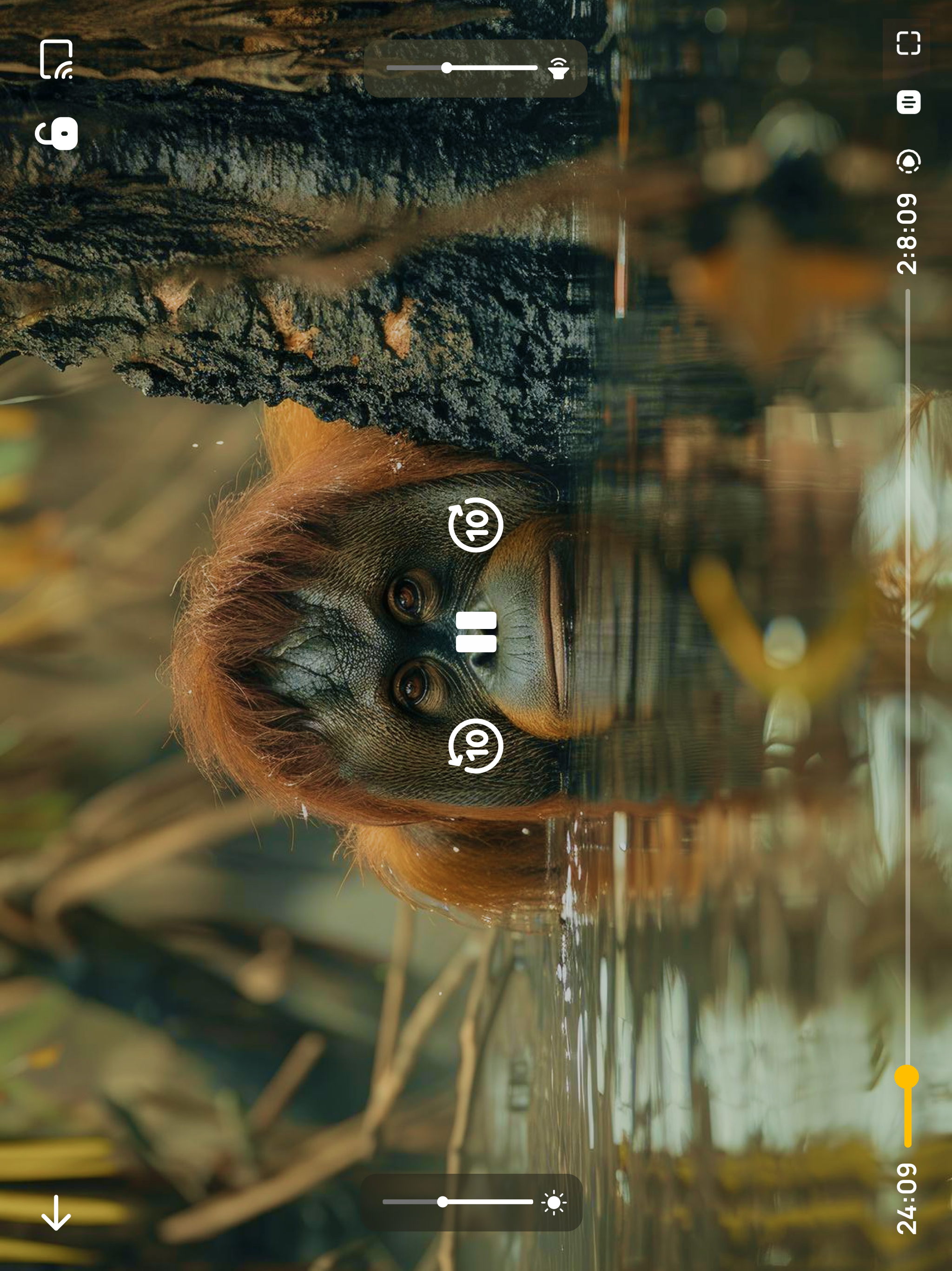 IPTVZ Smart Player: M3U Xtream screenshot 14