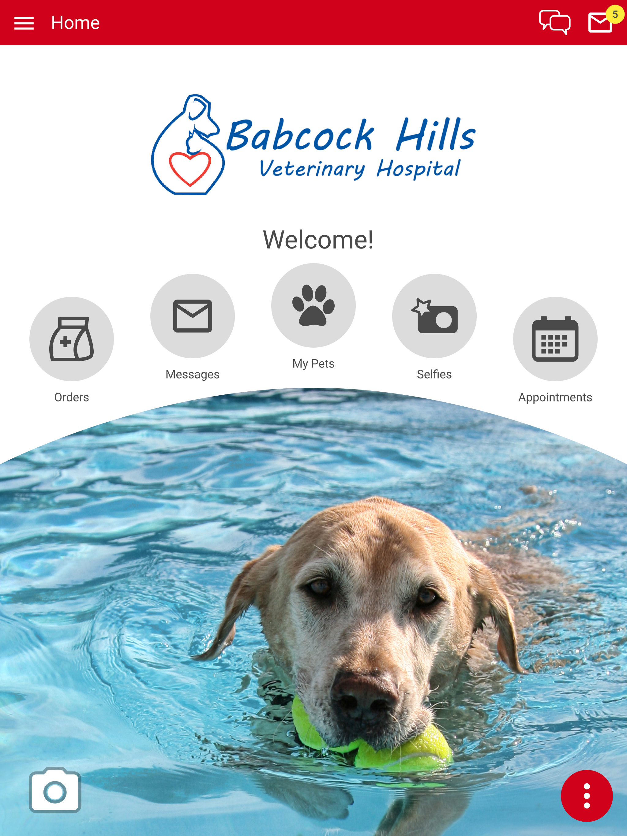 Babcock Hills Vet Hospital