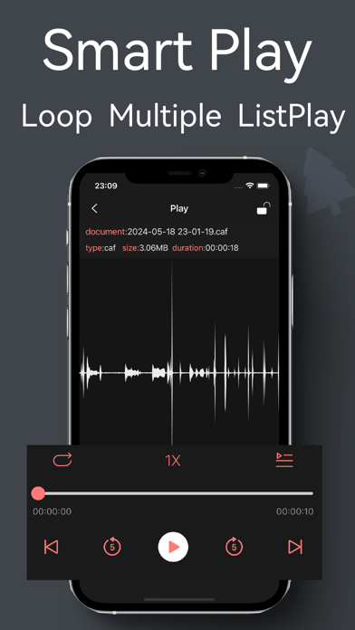 Recorder Pro - Voice Memo