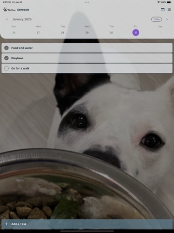 MyDog's Life Schedule Reminder iPad screenshot