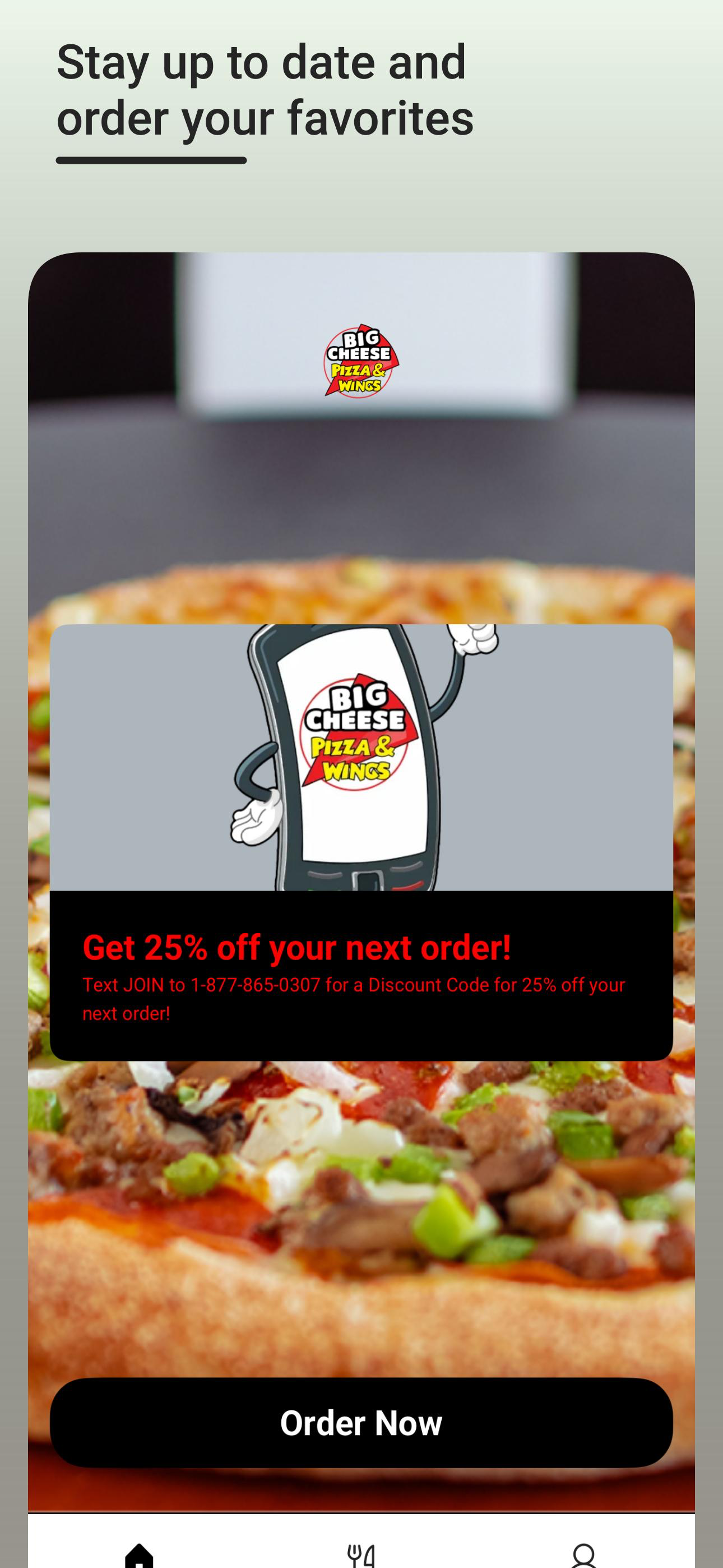 BIG Cheese Pizza & Wings
