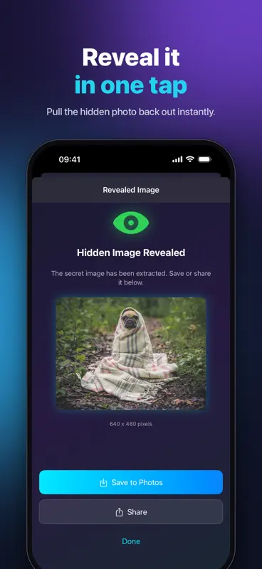 InvisiblePic - Steganography screenshot 3 of 5