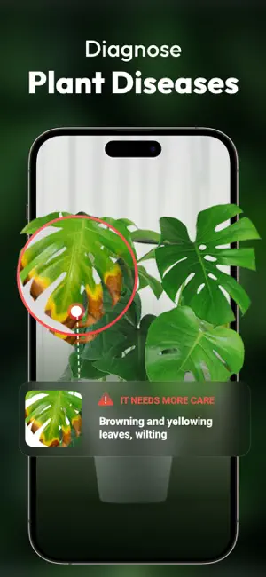 PlantBuddy: Plant Identifier screenshot 3