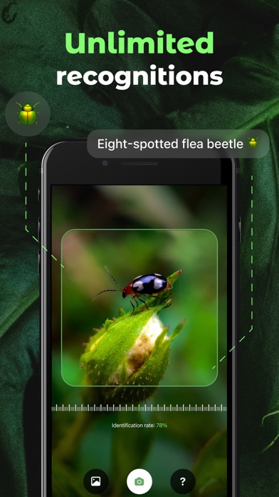 Insect Identifier Bug ID Screenshot