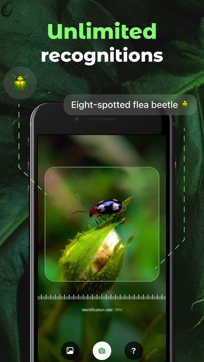 Insect Identifier Bug ID