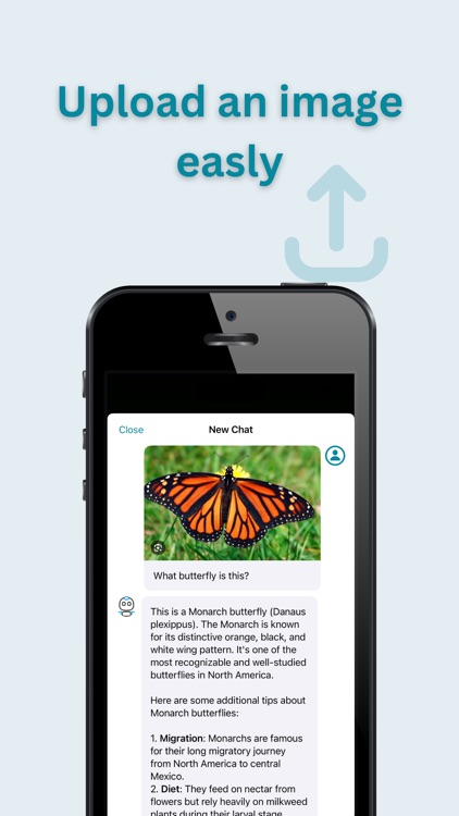 Butterfly Identifier: AI Scan
