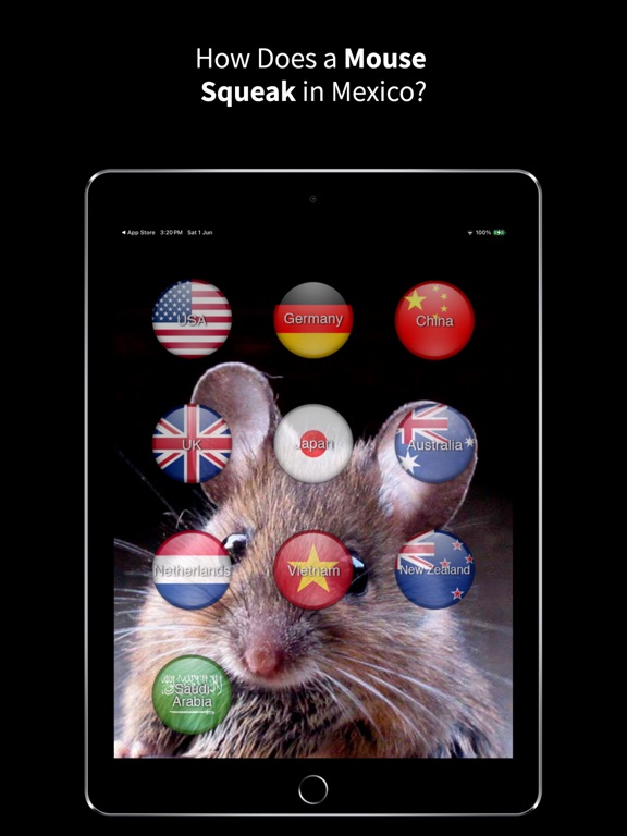 Screenshot #6 pour Animal Sounds Translator