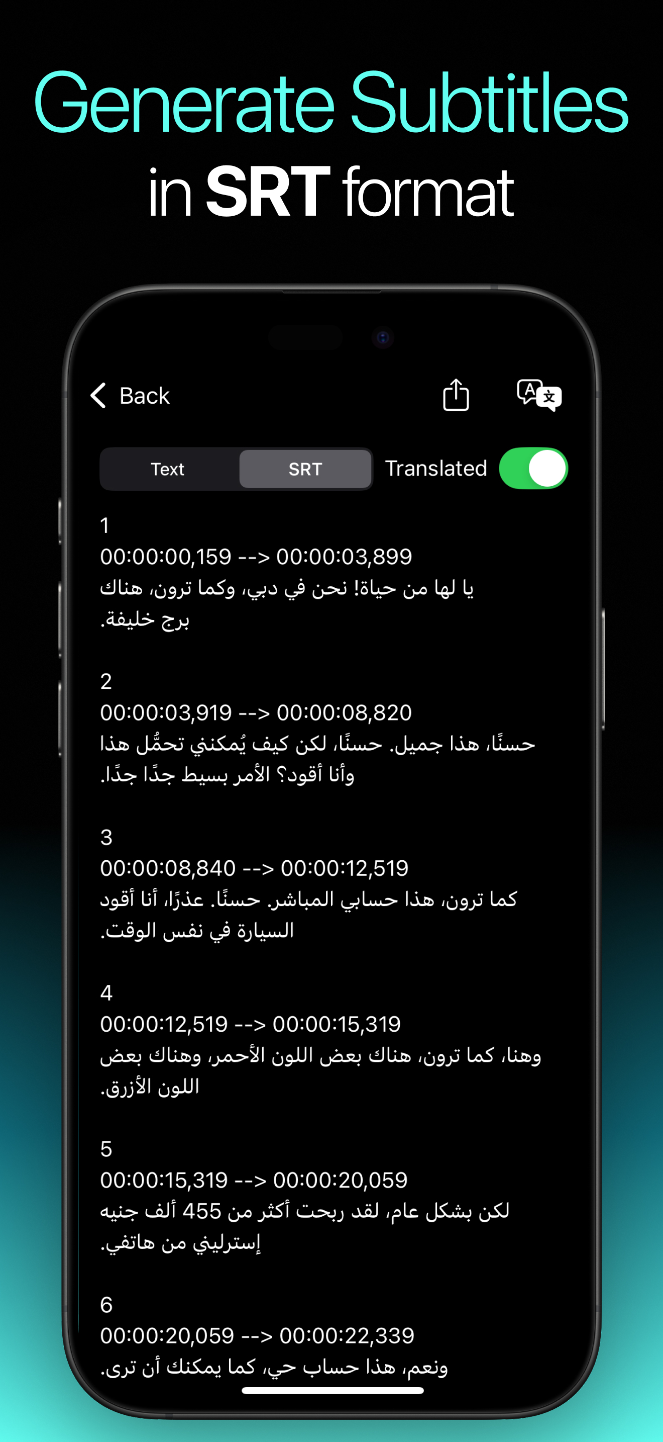 Video Transcriber & Translator screenshot 3