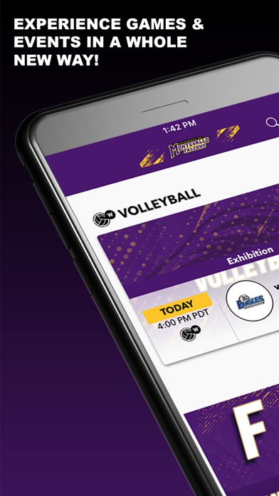Montevallo Falcons Screenshot