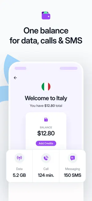 Roamless: eSIM Travel Internet iPhone screenshot 5