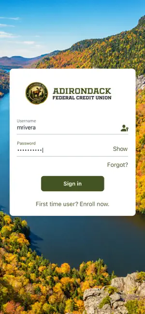 Adirondack FCU screenshot 2