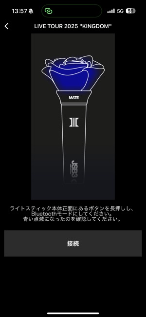 三代目JSB ペンライト 2本セット - ミュージシャン新着