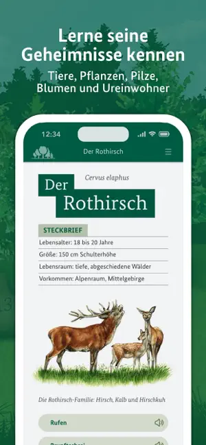 Die kleine Waldfibel screenshot 2