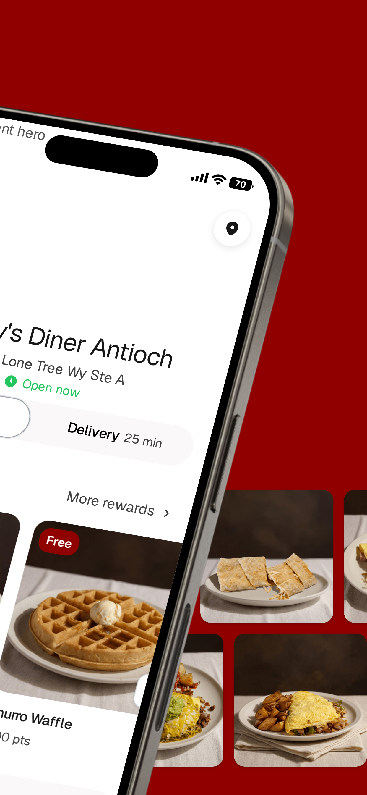 Lumpy's Diner Antioch screenshot 2
