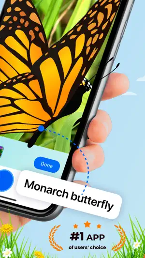 Bug Identifier: Insect ID (AI) screenshot 2