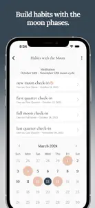 Luna Focus: Clarity Journal screenshot #4 for iPhone