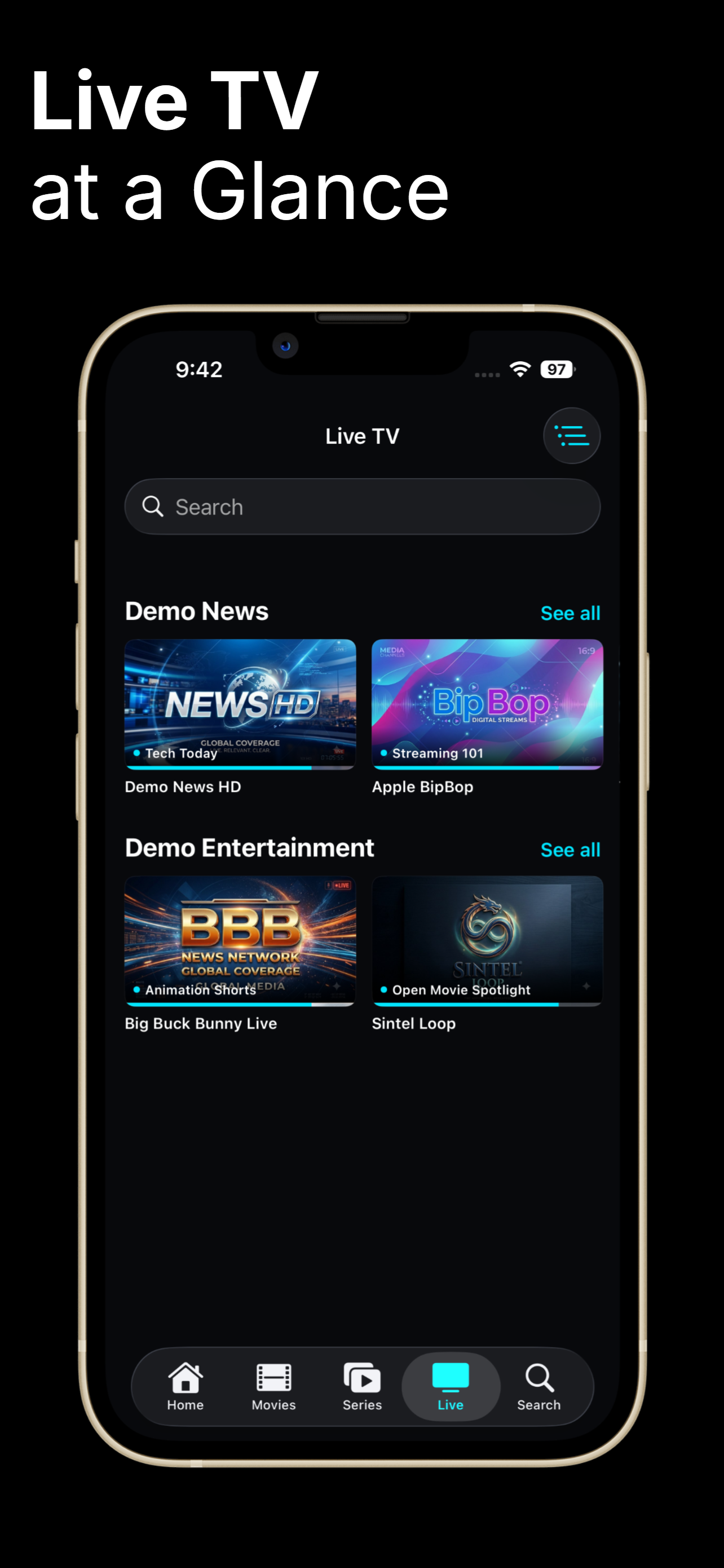 TnC IPTV Player screenshot 4