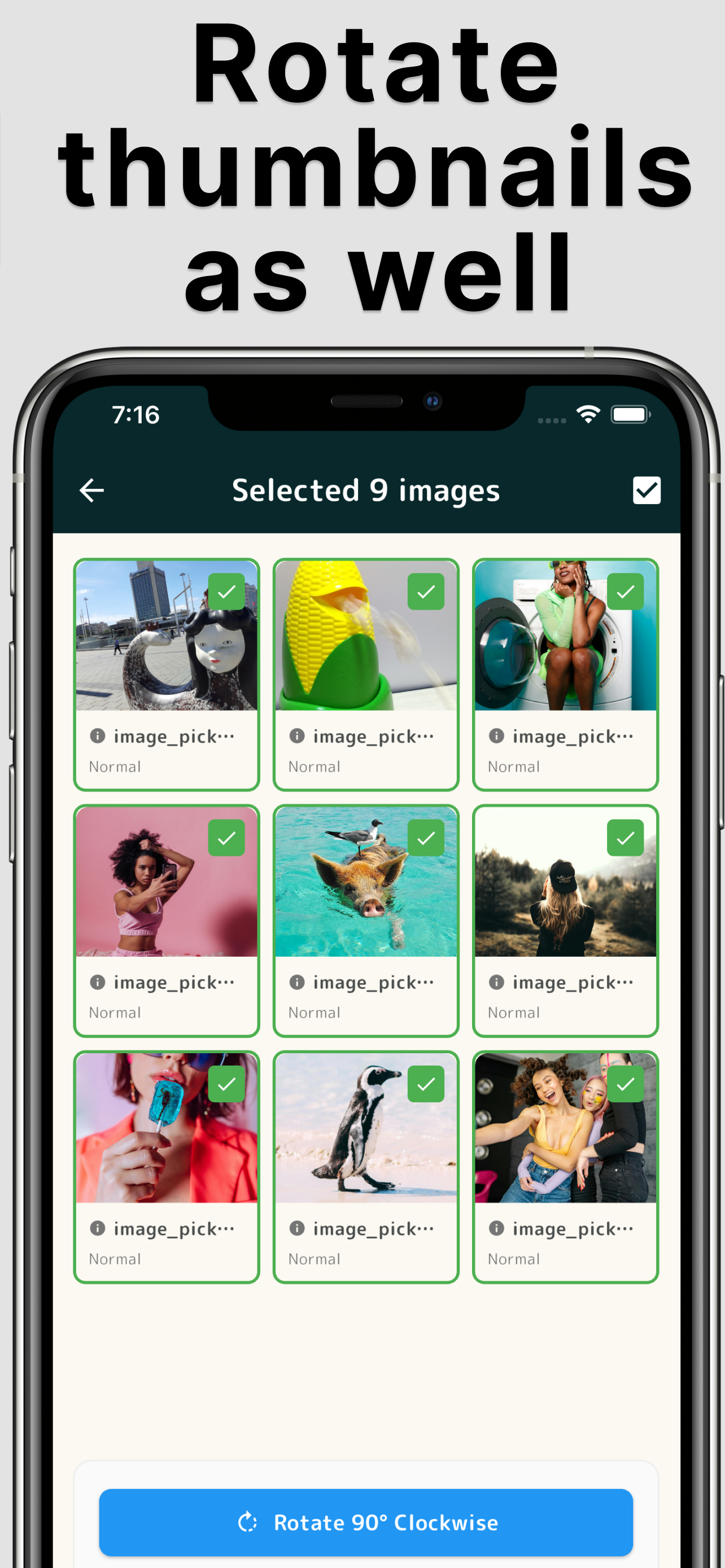 Image Rotator – Batch Photos