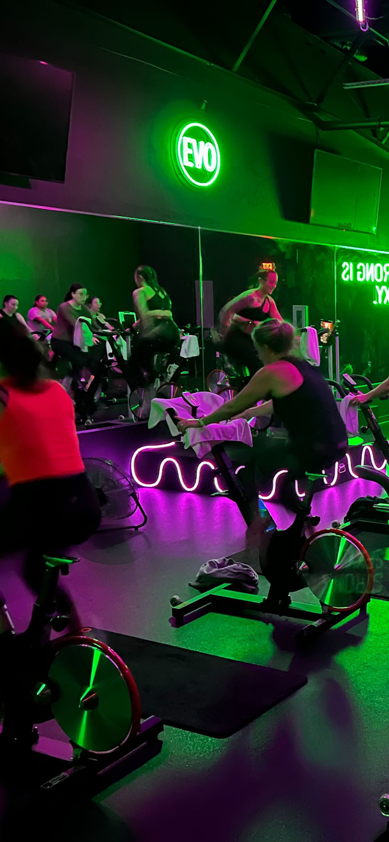 Evolution Cycle Studio