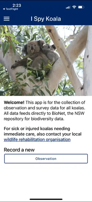 I Spy Koala screenshot 1