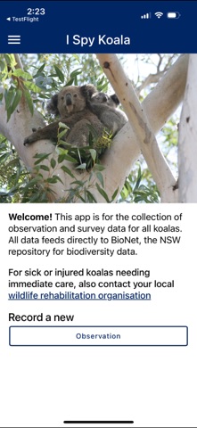 I Spy Koala Screenshot 1 of 5