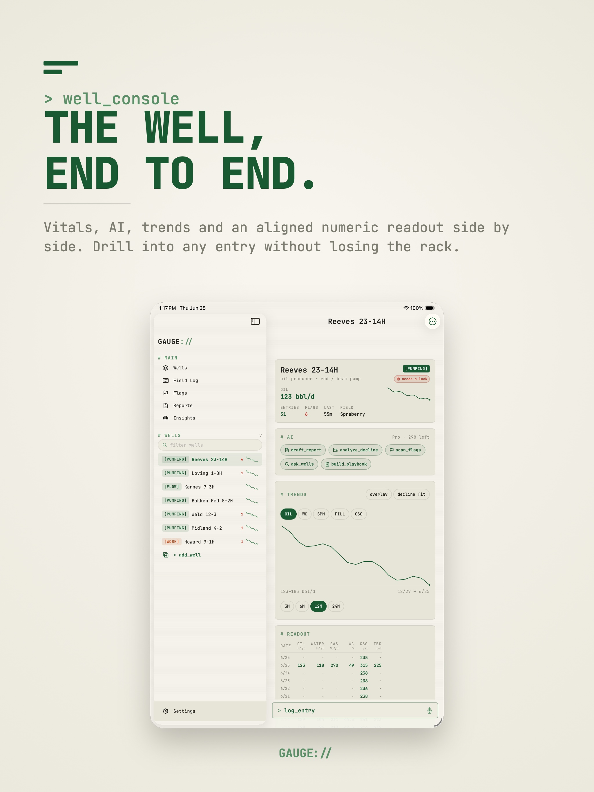 Oil Well Production Log GAUGE screenshot 12