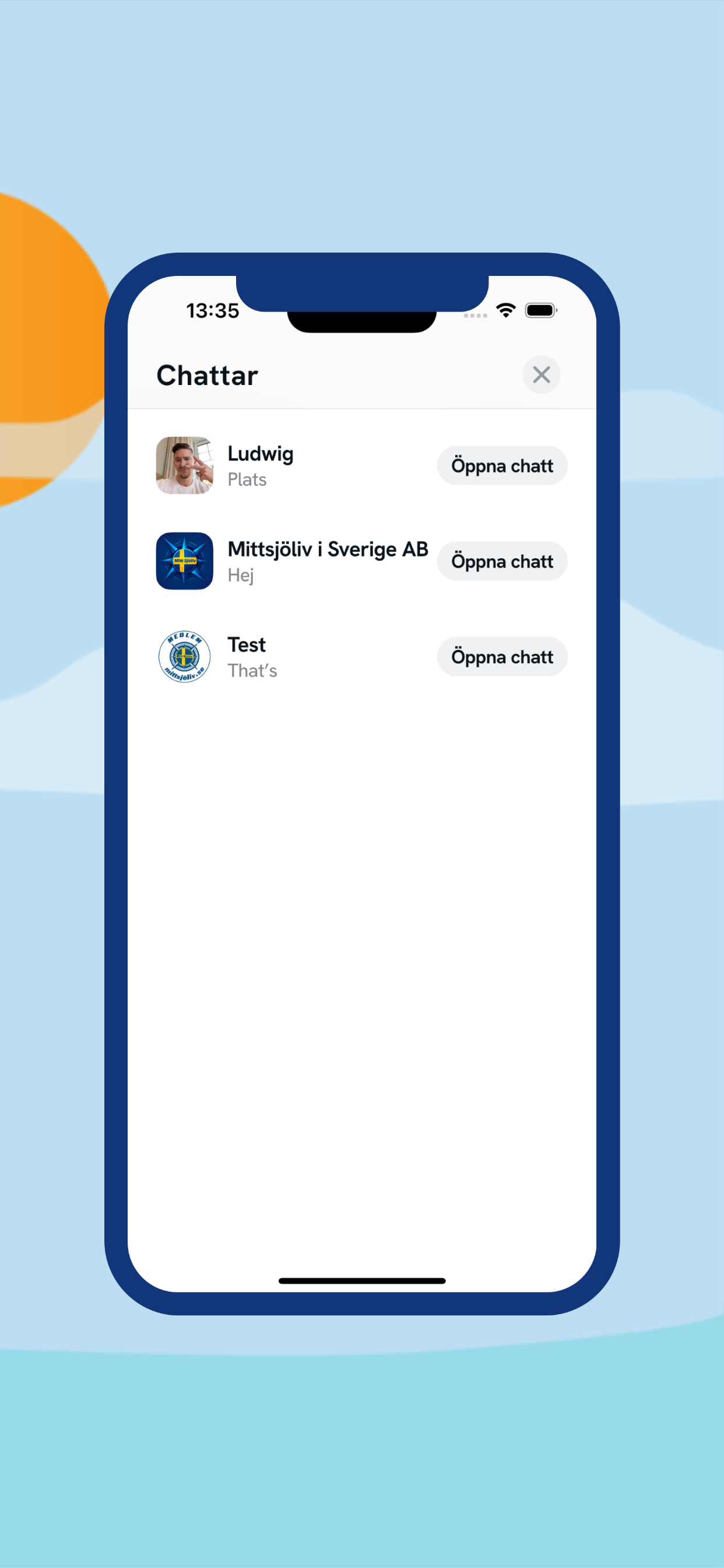 Mittsjöliv screenshot 5
