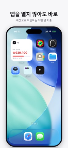 미니머니 - 미니멀 가계부 iPhone screenshot