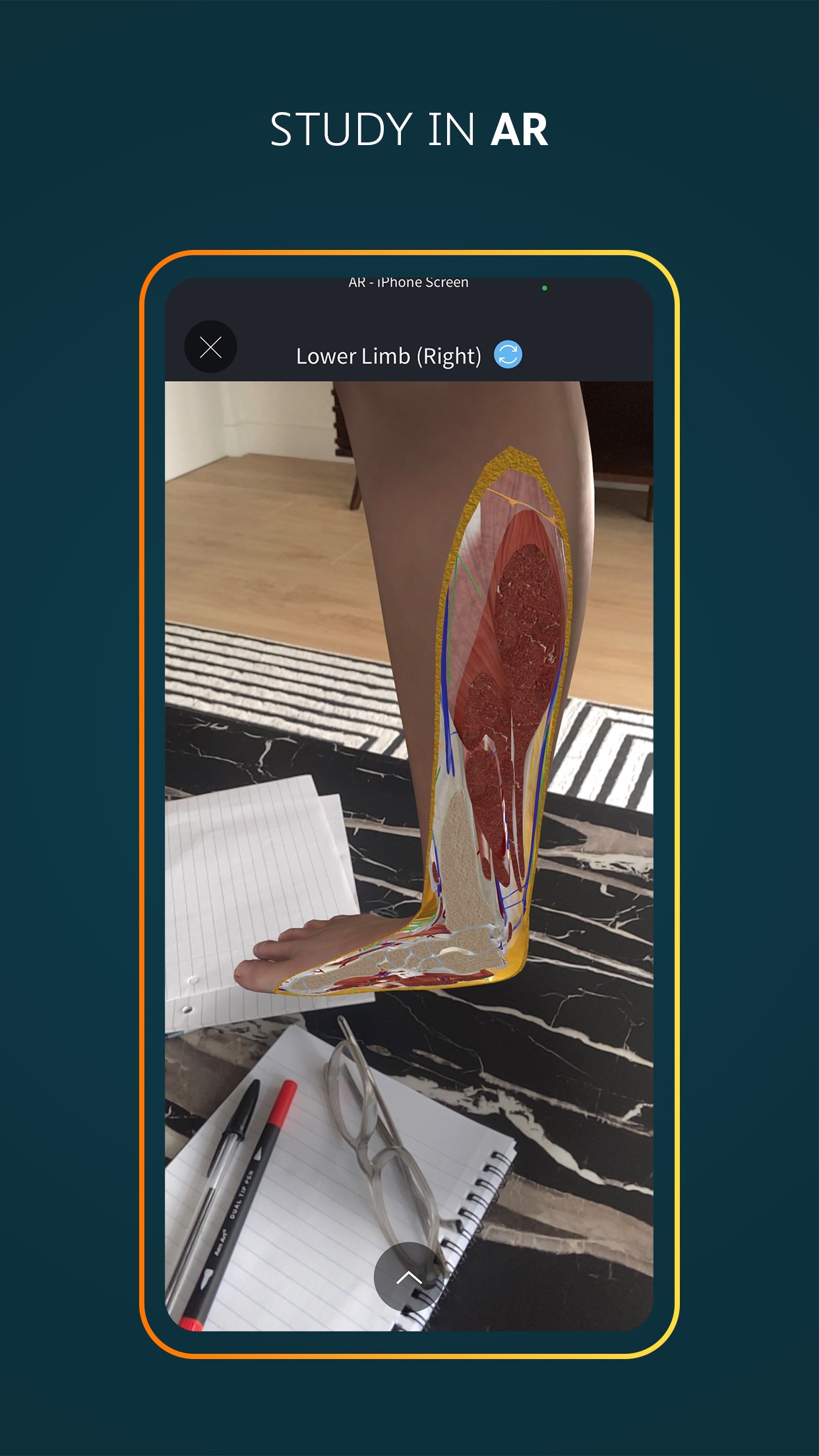 Complete Anatomy for iPhone screenshot 5