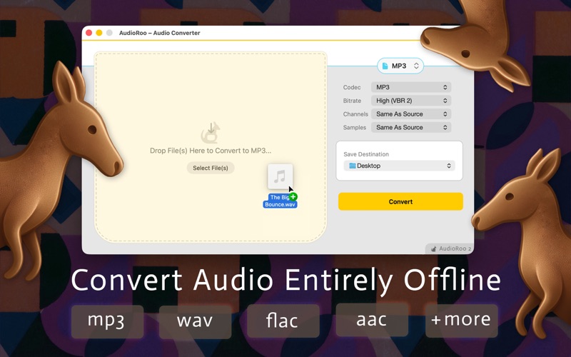 AudioRoo Screenshot 1