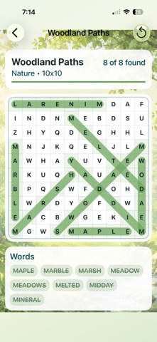 Puzzle Possibilities Screenshot 4 of 5