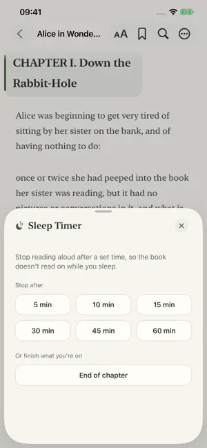 SimplyRead - EBook Reader screenshot 4