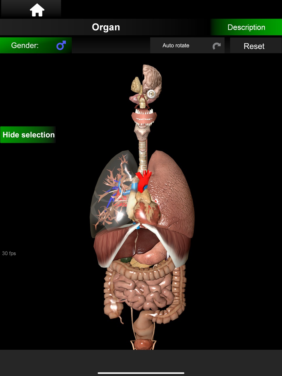 iPad screenshot