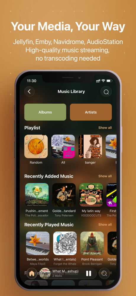 HiFier: HiFi Music Player screenshot 6