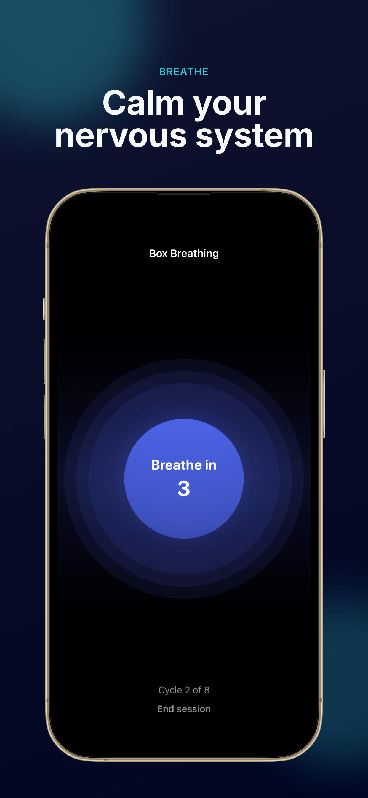 Tinnitus Relief: Auresa screenshot 6