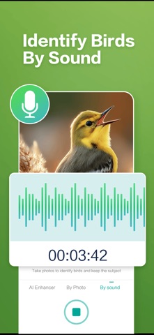 BirdAiSnap-Bird Identify iPhone screenshot