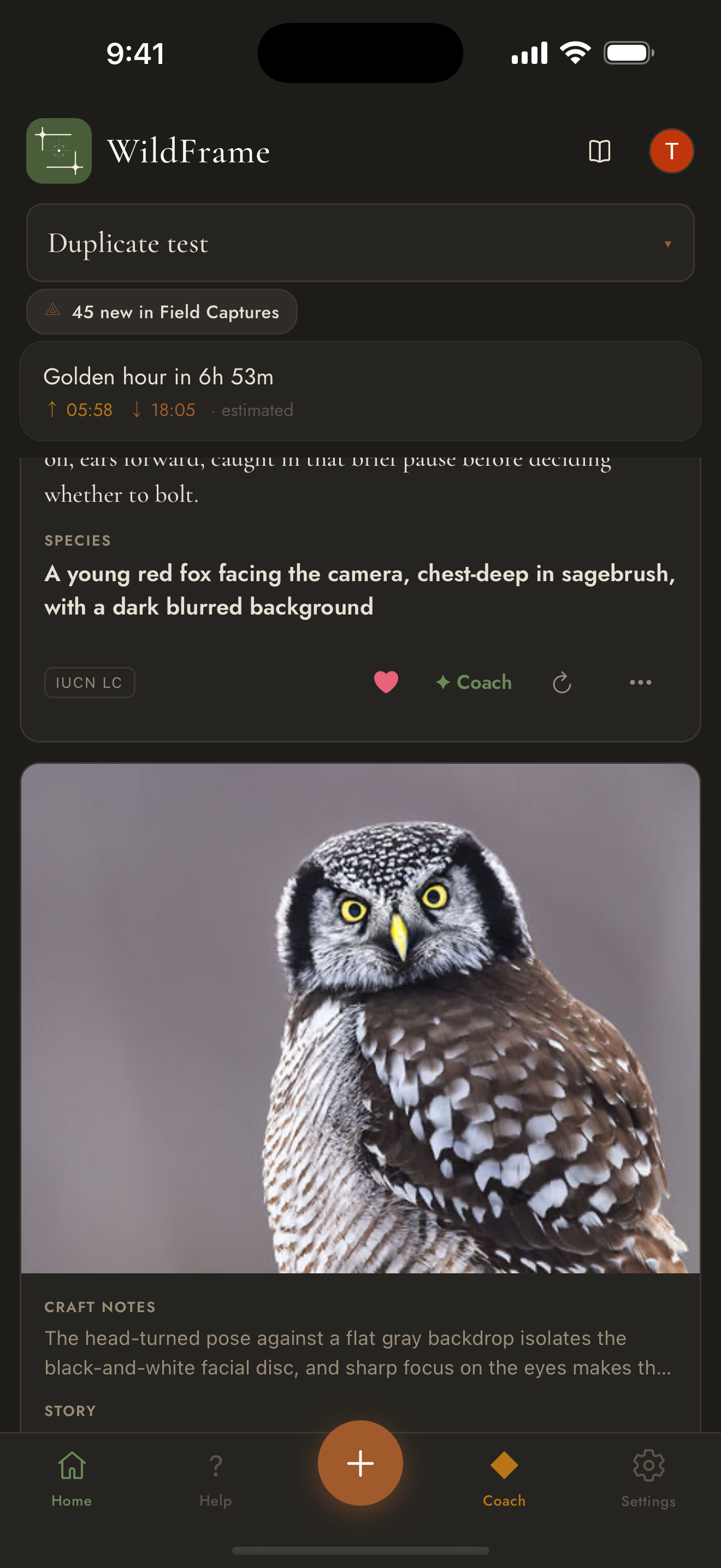 WildFrame Companion screenshot 7