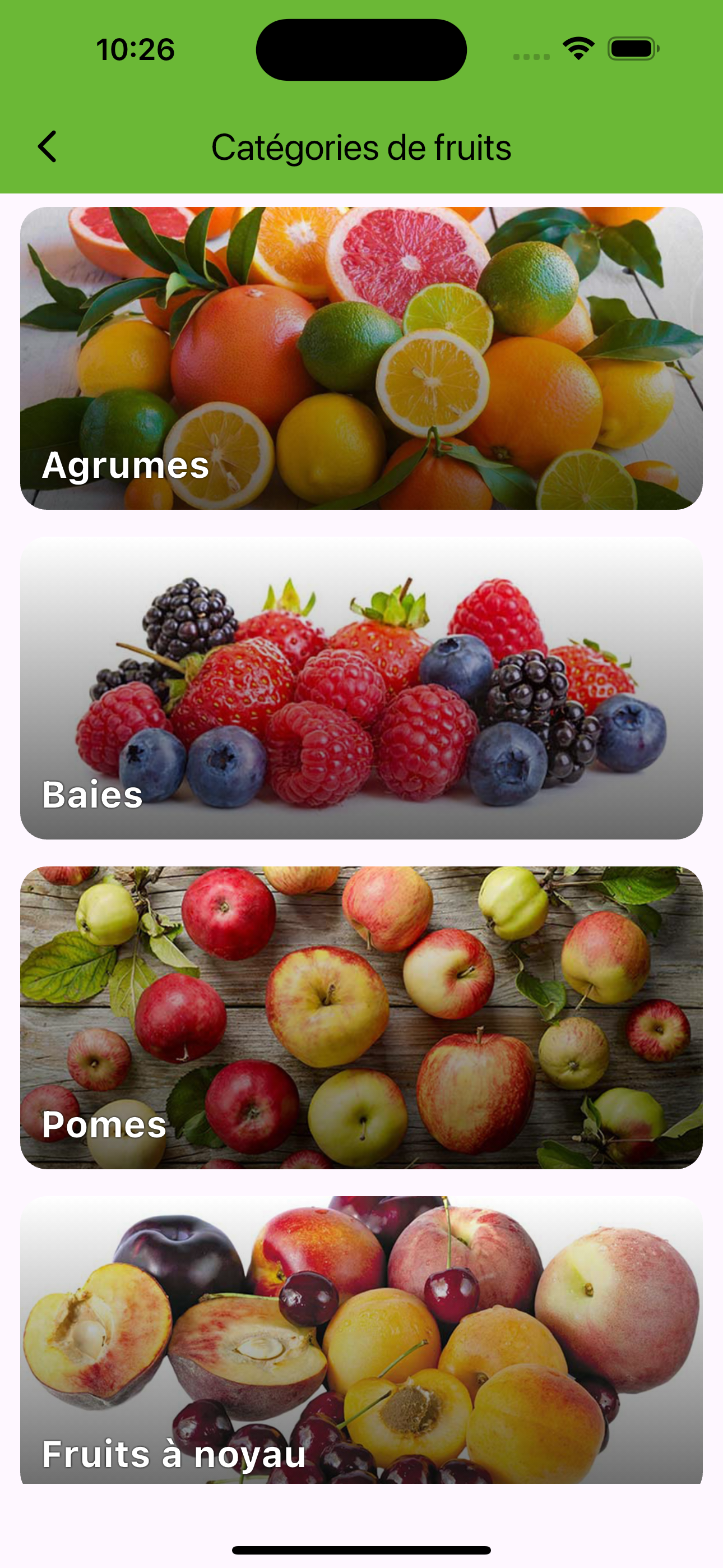 French Fruits Learning Fun screenshot 2