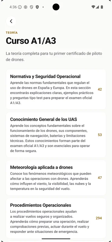 Test piloto dron A1/A3 A2 STS screenshot 7 of 8