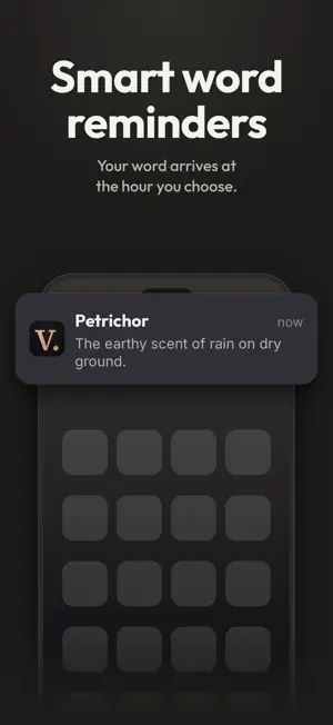 Vocabulary Builder – English screenshot 4