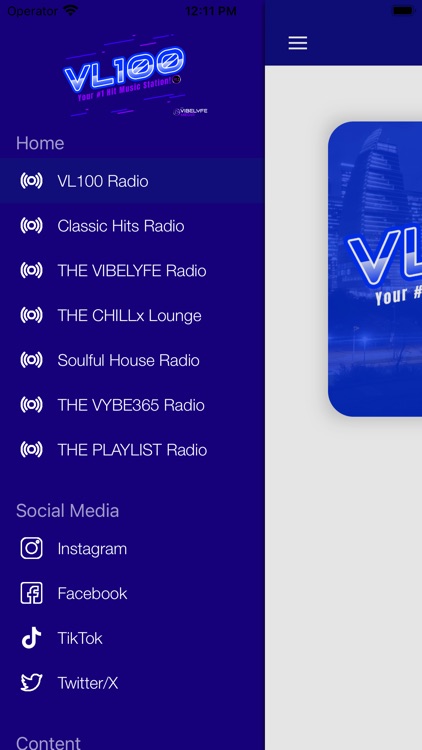 VL100 Radio App