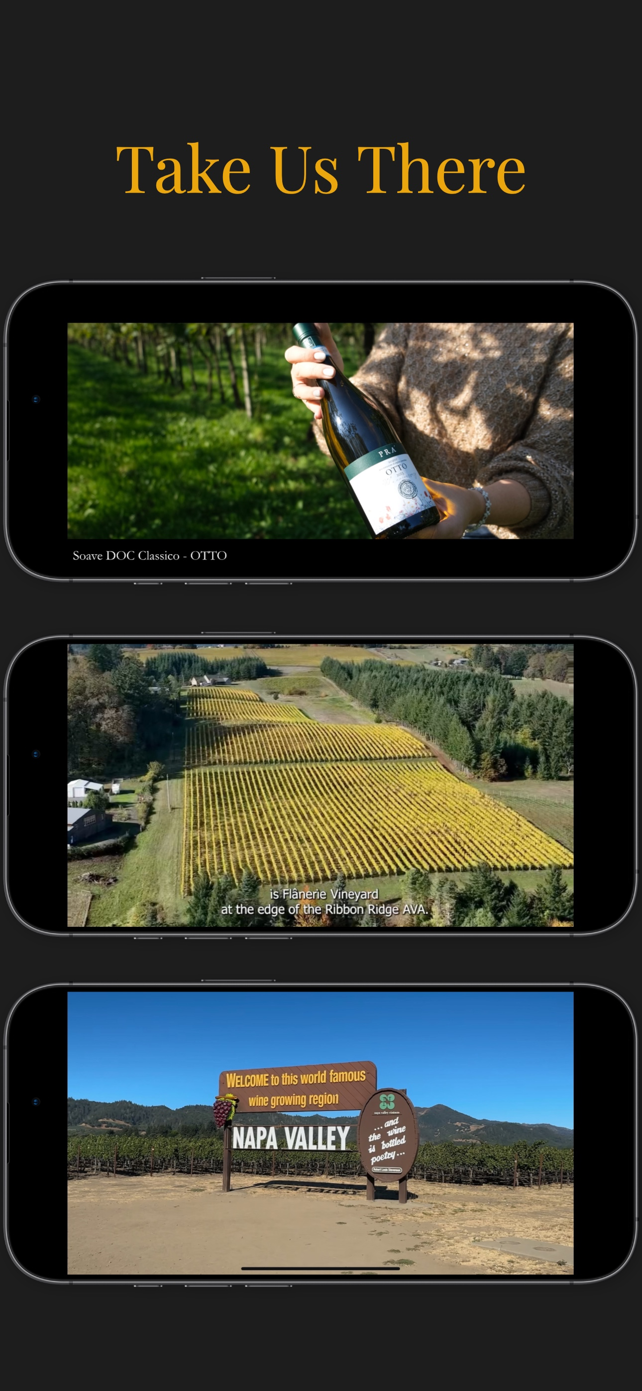 Vitis Vera screenshot 3